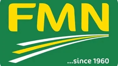 FMN Recruitment 2026: 26 Current Job Vacancies, Requirements and How to Apply